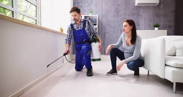 Best Residential Pest Control  in Leesville, LA